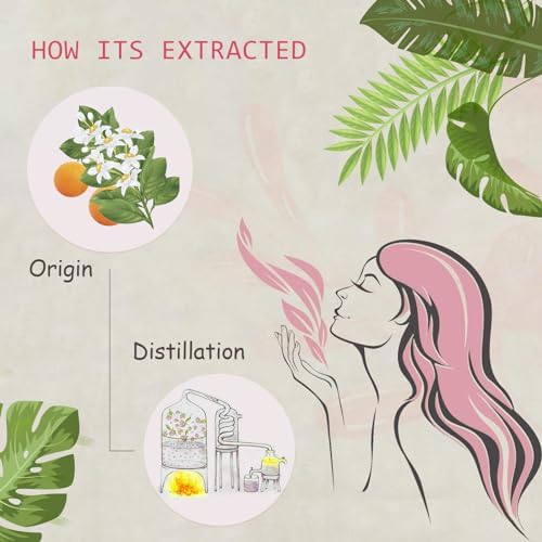 Pure Sandalwood Essential Oil for Diffuser and Aroma - 100% Organic, Santalum Album - 0.33oz | Pure Sandalwood Essentia