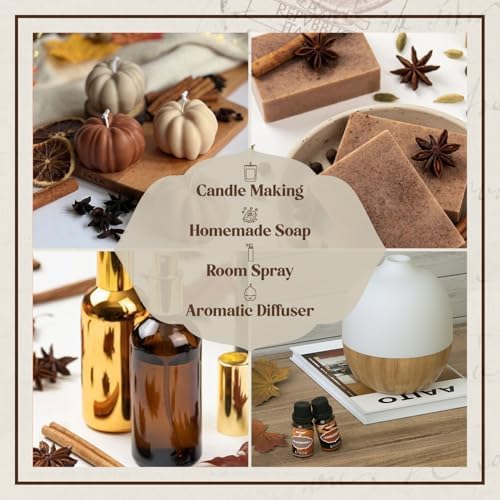 ARVIDSSON Autumn Spice Essential Oil Set - Cinnamon, Pumpkin Pie, Harvest Spice | Perfect for Diffusing in Your Home th