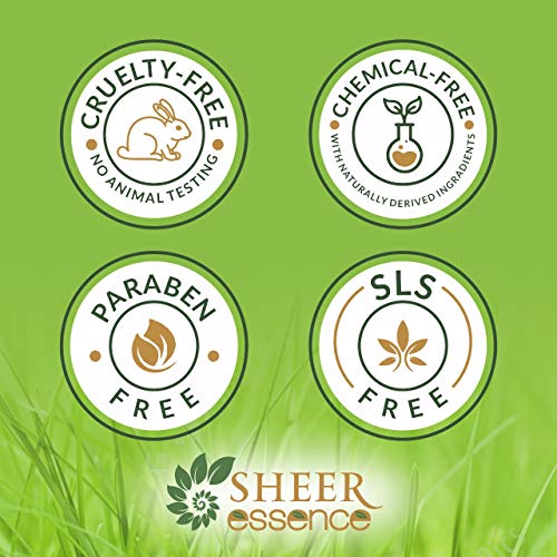 Essential Oils Set - 6 x 15ml Top 6 Scents for Aromatherapy & Gifts