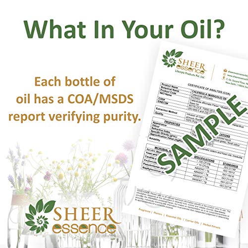 Essential Oils Set - 6 x 15ml Top 6 Scents for Aromatherapy & Gifts