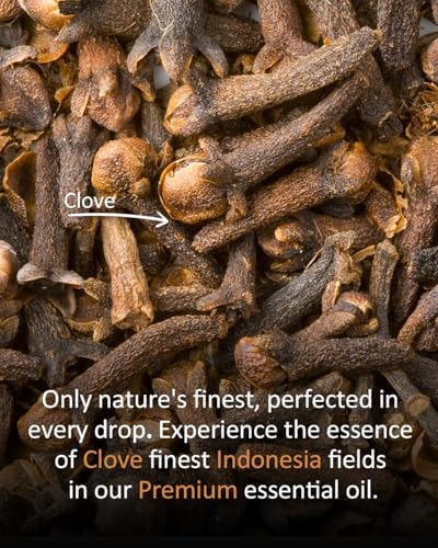 100% Pure Sandalwood Essential Oil for Home and Skin Care | Premium Grade for Diffusers, Massage, Soap Making, Aromathe