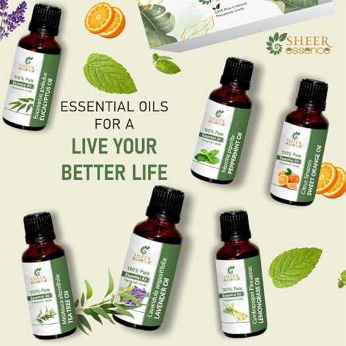 Essential Oils Set - 6 x 15ml Top 6 Scents for Aromatherapy & Gifts