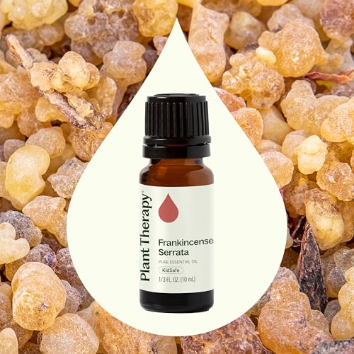 Plant Therapy Frankincense Serrata Essential Oil for Skin Care and Aromatherapy | Plant Therapy 100% Pure Frankincense