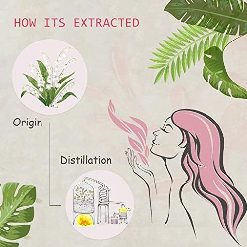 Pure Sandalwood Essential Oil for Diffuser and Aroma - 100% Organic, Santalum Album - 0.33oz | Pure Sandalwood Essentia