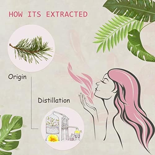 Pure Sandalwood Essential Oil for Diffuser and Aroma - 100% Organic, Santalum Album - 0.33oz | Pure Sandalwood Essentia