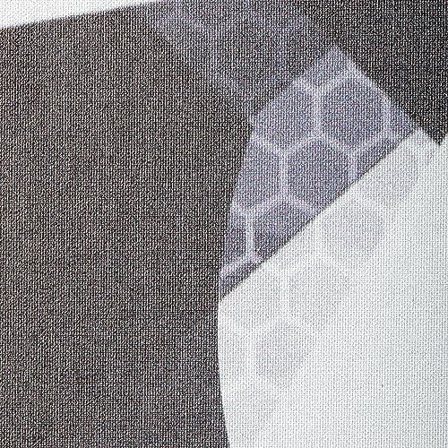 Onix Graphite MOD Z5 Carbon Fiber Pickleball Paddle for Comfortable Play | Onix Graphite MOD Z5 Cushion Comfort Carbon