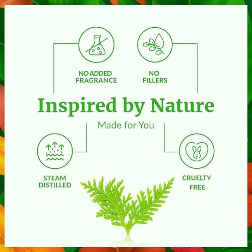 SVA Frankincense Essential Oil - 100% Natural Boswellia Carterii Oil for Aromatherapy and Skin Care - 1 Fl Oz with Dropp