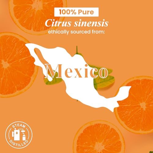 Handcraft Blends Organic Cedarwood Essential Oil - Premium Grade for Diffuser and Aromatherapy - USDA Organic - 1 Fl Oz