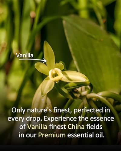 100% Pure & Natural Vanilla Essential Oil 4 fl oz for Diffusers & Aromatherapy | 4 fl oz 100% Pure & Natural Vanilla Oi