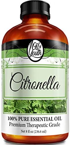 Pure & Therapeutic Grade Oil of Youth Frankincense Essential Oil for Skincare and Wellness | Oil of Youth Frankincense