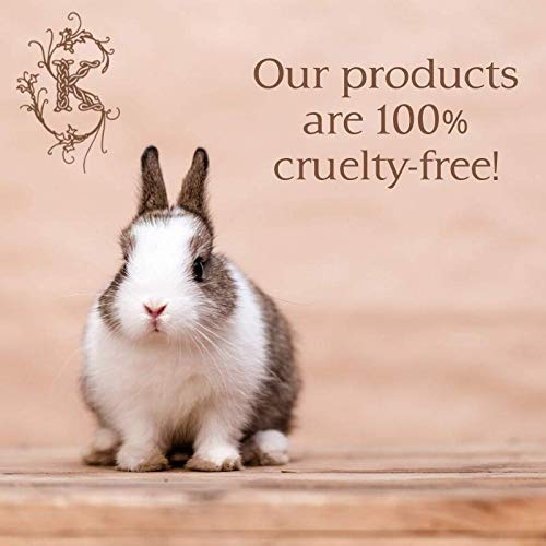 Shelley Kyle Lorelei Mini Gift Set for Women, Travel Size Perfume, Lotion, and Shower Gel, Elegant Cream and Gold Gift B