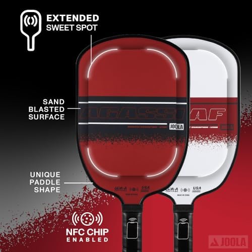 JOOLA Agassi PRO IV 14mm Pickleball Paddle - Carbon Fiber Surface Increases Spin & Control for Experts | JOOLA Agassi P