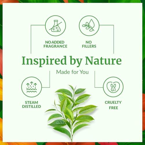 SVA Frankincense Essential Oil - 100% Natural Boswellia Carterii Oil for Aromatherapy and Skin Care - 1 Fl Oz with Dropp