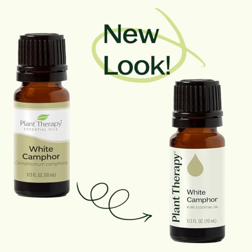 Plant Therapy Organic Frankincense Serrata Essential Oil for Aromatherapy and Therapeutic Use | Plant Therapy Organic F