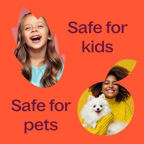 Plant Therapy Organic Frankincense Serrata Essential Oil for Aromatherapy and Therapeutic Use | Plant Therapy Organic F