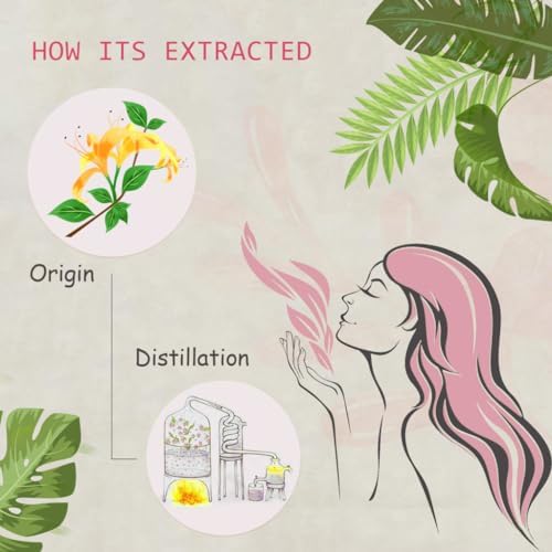 Sandalwood & Clary Sage Essential Oils for Aroma and Spa - 100% Pure Organic Natural Plant Oils, 2x10ML Sandalwood & C