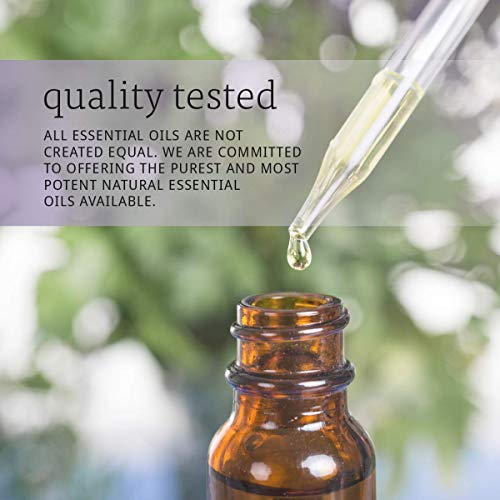 NOW Essential Oils Cinnamon Cassia Oil for Warming Aromatherapy, Steam Distilled, 100% Pure, Vegan, Child Resistant Cap
