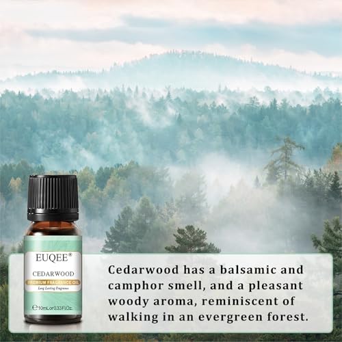 EUQEE Woody Essential Oils Set for Aromatherapy - Pure & Natural Oils - Eucalyptus, Cedarwood, Sandalwood, Frankincense,