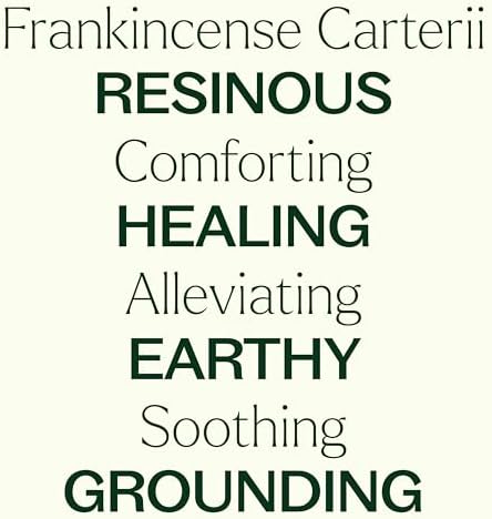 Plant Therapy 100% Pure Frankincense Essential Oil for Aromatherapy and Therapeutic Use, 10 mL | Plant Therapy Natural