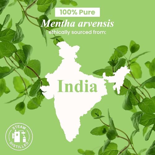 Handcraft Blends Organic Cedarwood Essential Oil - Premium Grade for Diffuser and Aromatherapy - USDA Organic - 1 Fl Oz