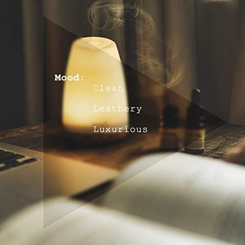 Santal Diffuser Oil Amber Coco Vanilla Cedar Sandalwood Musk for Home Fragrance Projects(.33 oz/10 ml) Santal Diffuser