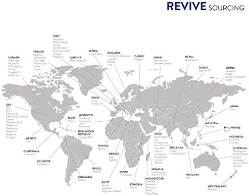 Revive Essential Oils Hawaiian Sandalwood Essential Oil - 100% Pure Therapeutic Grade, For Aromatherapy & Skin Care, Per