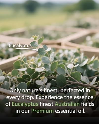 100% Pure & Natural Vanilla Essential Oil 4 fl oz for Diffusers & Aromatherapy | 4 fl oz 100% Pure & Natural Vanilla Oi