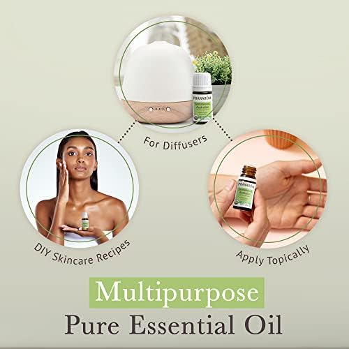 Pranarom USDA Certified Organic Australian Sandalwood Essential Oil for Home Diffusing and Aromatherapy - 5ml Pure Natu