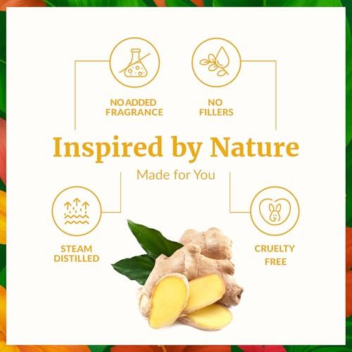 SVA Frankincense Essential Oil - 100% Natural Boswellia Carterii Oil for Aromatherapy and Skin Care - 1 Fl Oz with Dropp