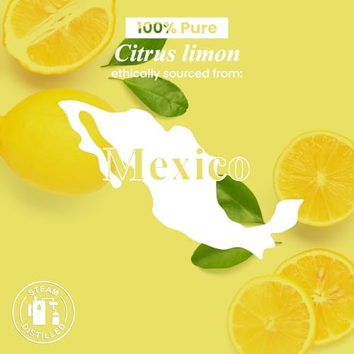 Handcraft Blends Organic Cedarwood Essential Oil - Premium Grade for Diffuser and Aromatherapy - USDA Organic - 1 Fl Oz