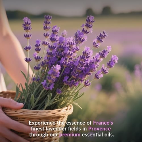 Sandalwood Essential Oil – 100% Pure & Natural Premium Grade Aromatherapy Oil – Warm Woody Scent for Meditation & Relaxa