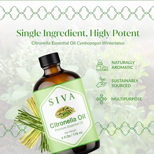 Siva Rosemary Essential Oil - 100% Natural Rosemary Oil – for Skin Care, Hair Care, Aromatherapy - 4 Fl Oz with Dropper
