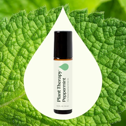 Plant Therapy Organic Frankincense Serrata Essential Oil for Aromatherapy and Therapeutic Use | Plant Therapy Organic F