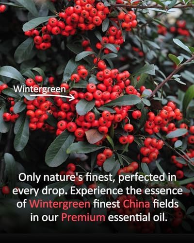 100% Pure & Natural Vanilla Essential Oil 4 fl oz for Diffusers & Aromatherapy | 4 fl oz 100% Pure & Natural Vanilla Oi