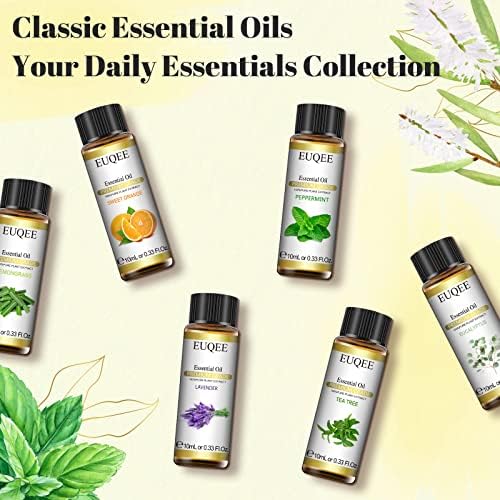 EUQEE Woody Essential Oils Set for Aromatherapy - Pure & Natural Oils - Eucalyptus, Cedarwood, Sandalwood, Frankincense,