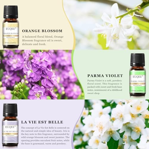 EUQEE Woody Essential Oils Set for Aromatherapy - Pure & Natural Oils - Eucalyptus, Cedarwood, Sandalwood, Frankincense,