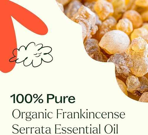 Pure Plant Therapy Organic Frankincense Serrata Essential Oil for Natural Aromatherapy and Therapeutic Use, 100% Pure,