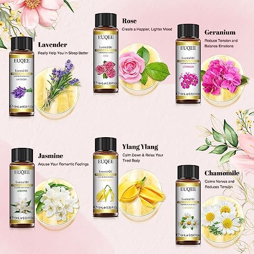 EUQEE Woody Essential Oils Set for Aromatherapy - Pure & Natural Oils - Eucalyptus, Cedarwood, Sandalwood, Frankincense,