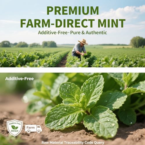 Sandalwood Essential Oil – 100% Pure & Natural Premium Grade Aromatherapy Oil – Warm Woody Scent for Meditation & Relaxa