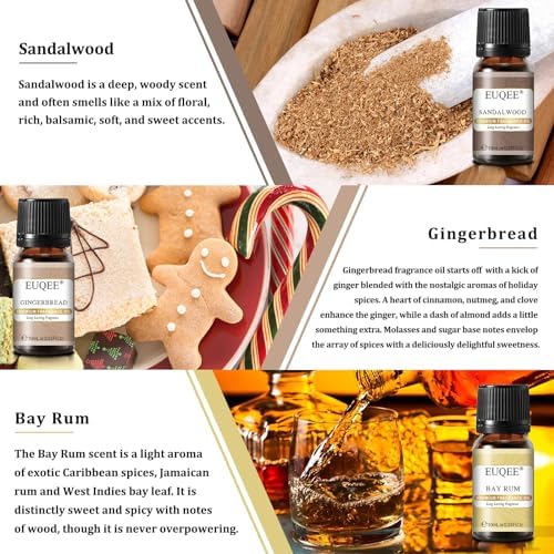 EUQEE Woody Essential Oils Set for Aromatherapy - Pure & Natural Oils - Eucalyptus, Cedarwood, Sandalwood, Frankincense,