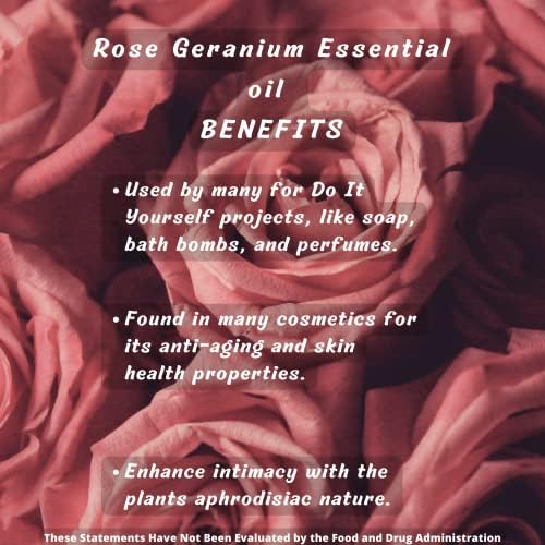 Grimweed Apothecary USDA Organic Cinnamon Essential Oil - Therapeutic Grade - 15mL - Diffuser Oil - 100% All Natural - w