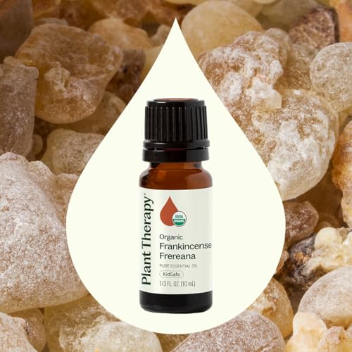 Plant Therapy Organic Frankincense Serrata Essential Oil for Aromatherapy and Therapeutic Use | Plant Therapy Organic F