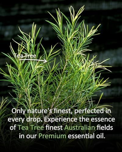 100% Pure & Natural Vanilla Essential Oil 4 fl oz for Diffusers & Aromatherapy | 4 fl oz 100% Pure & Natural Vanilla Oi