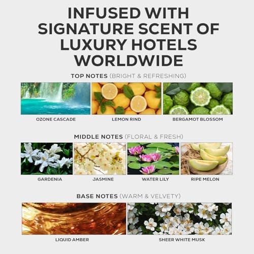 Aroma Country Fraser Fir Christmas Tree Oil - Luxury Essential Oils for Diffuser & Air Freshener - Natural Home Fragranc