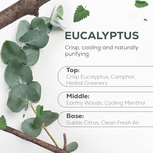 Aroma Country Fraser Fir Christmas Tree Oil - Luxury Essential Oils for Diffuser & Air Freshener - Natural Home Fragranc