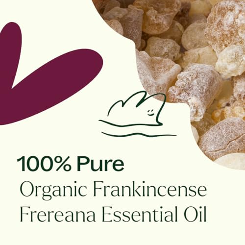 Plant Therapy Organic Frankincense Serrata Essential Oil for Aromatherapy and Therapeutic Use | Plant Therapy Organic F