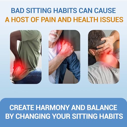 The Posturator - Posture Corrector with Pelvis-Stabilizer, Spine-Guide, Memory Foam - Corrects and Maintains Posture, Im