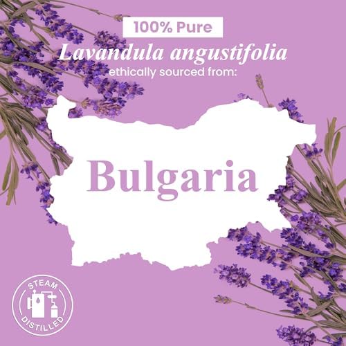 Handcraft Blends Organic Cedarwood Essential Oil - Premium Grade for Diffuser and Aromatherapy - USDA Organic - 1 Fl Oz