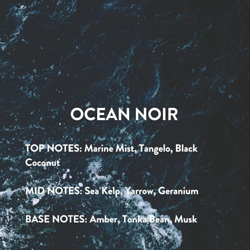 Michael Malul Ocean Noir Perfume for Men | Refreshing Sea Scent | Perfect Gift for Dapper Gentlemen | 100ml | Best Selle