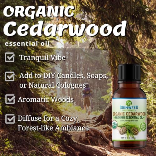 Grimweed Apothecary USDA Organic Cinnamon Essential Oil - Therapeutic Grade - 15mL - Diffuser Oil - 100% All Natural - w